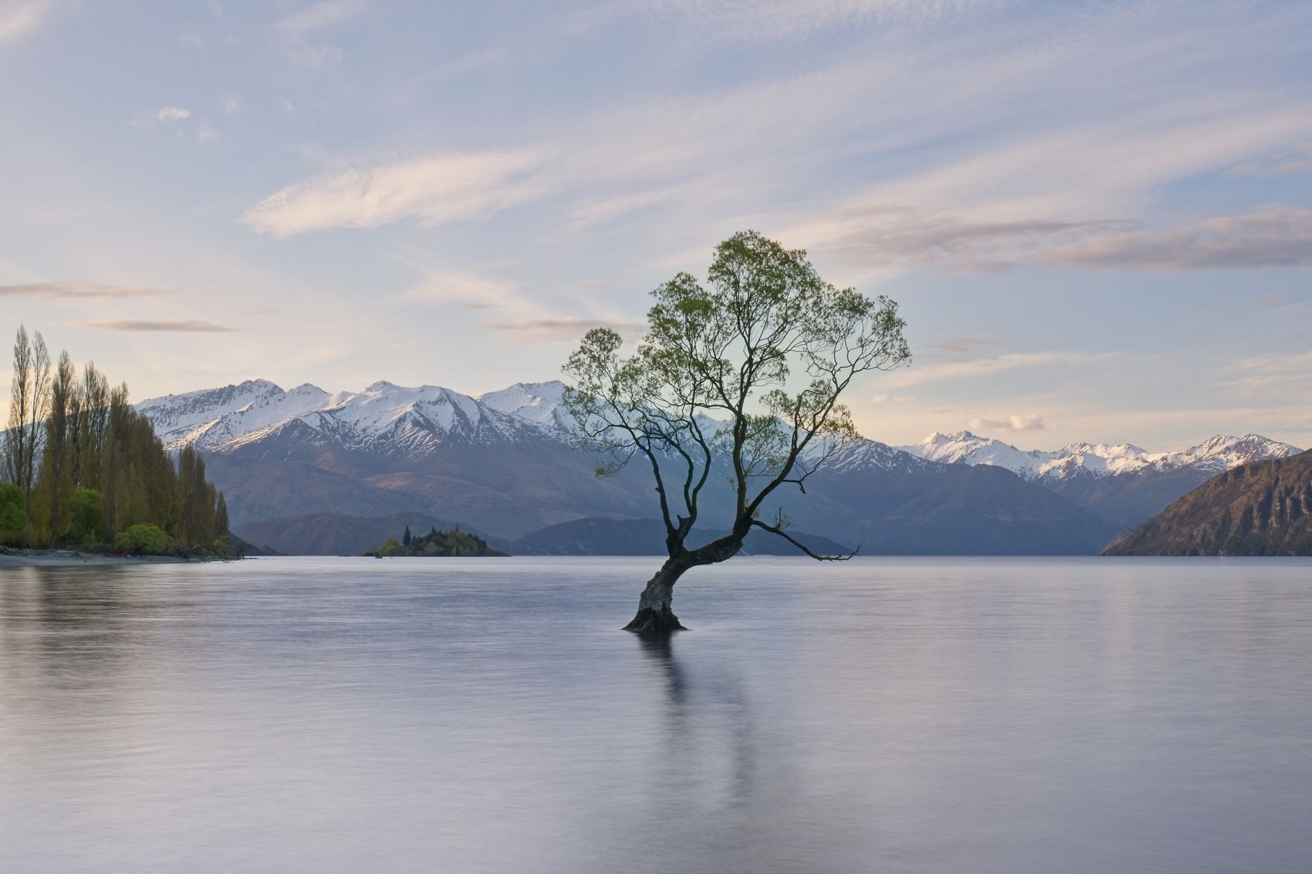 Lake Wanaka with willow tree and mountains