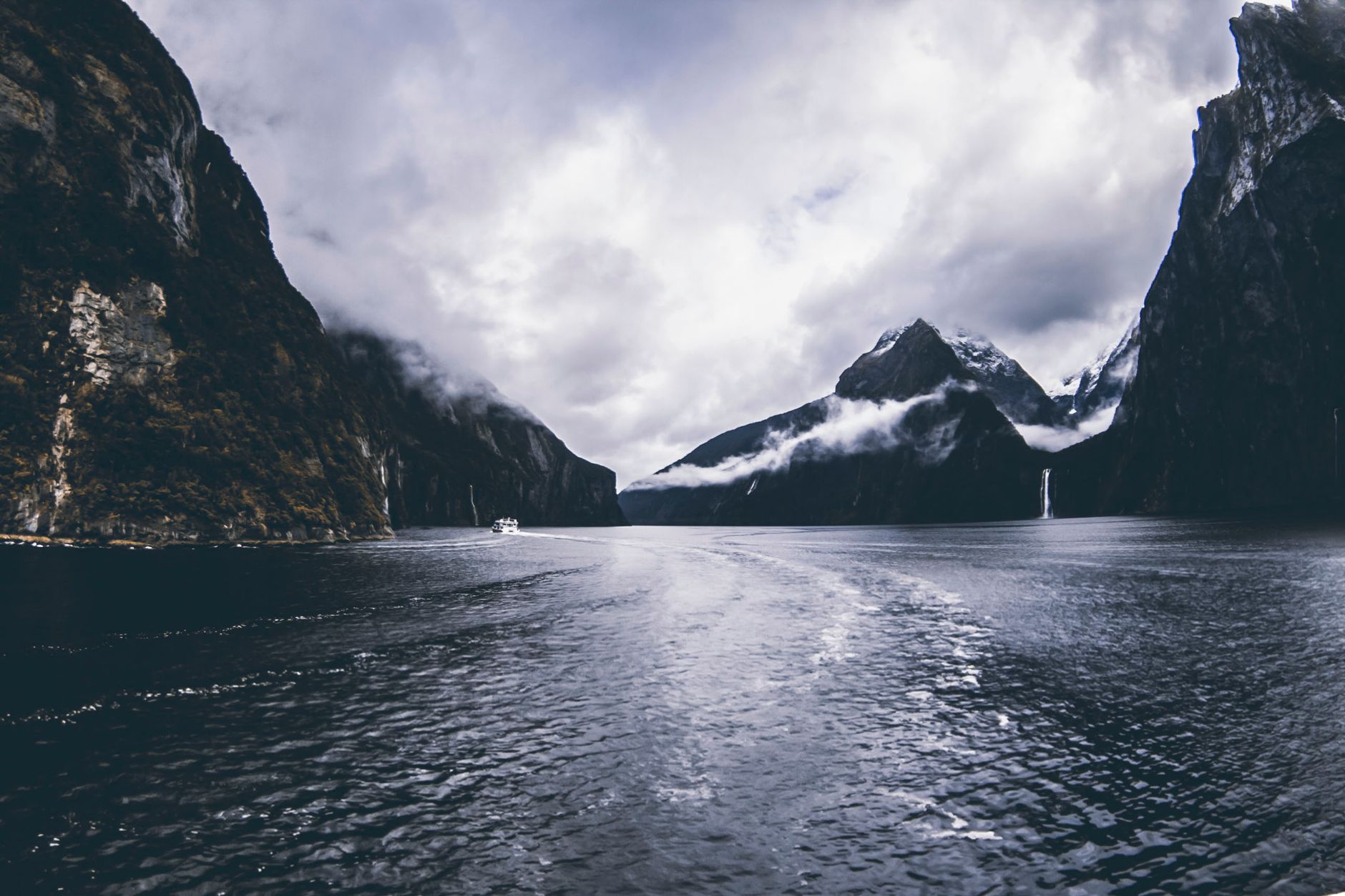 Emerald waters of Milford Sound, New Zealand