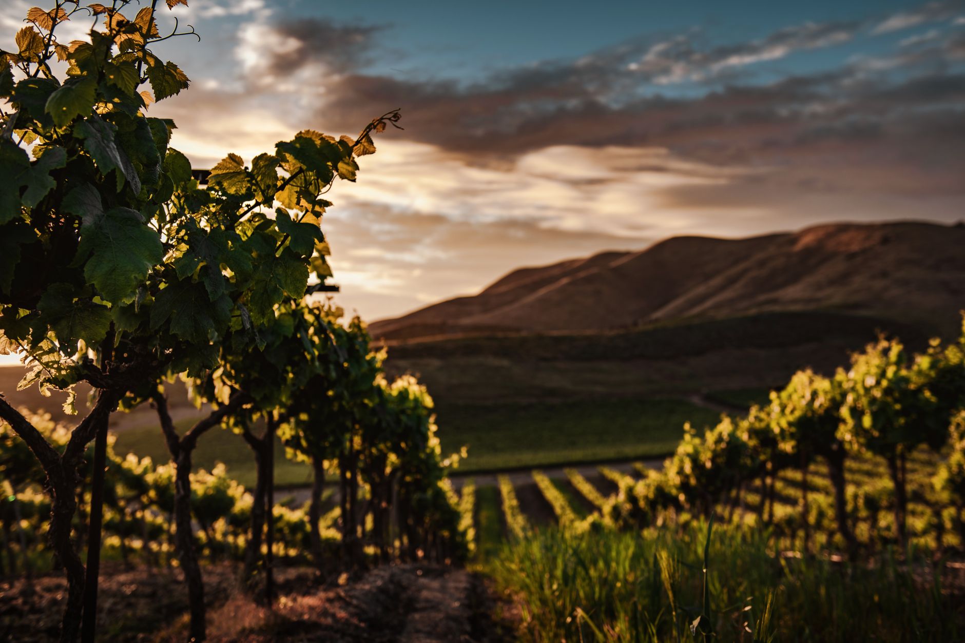 Winery overlooking a scenic lake in Central Otago